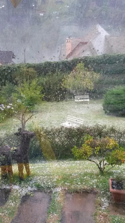 Pousada Toca Dos Tucanos Campos do Jordão Esterno foto