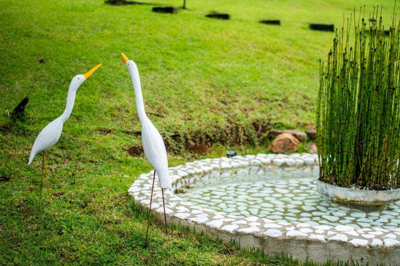 Pousada Toca Dos Tucanos Campos do Jordão Esterno foto